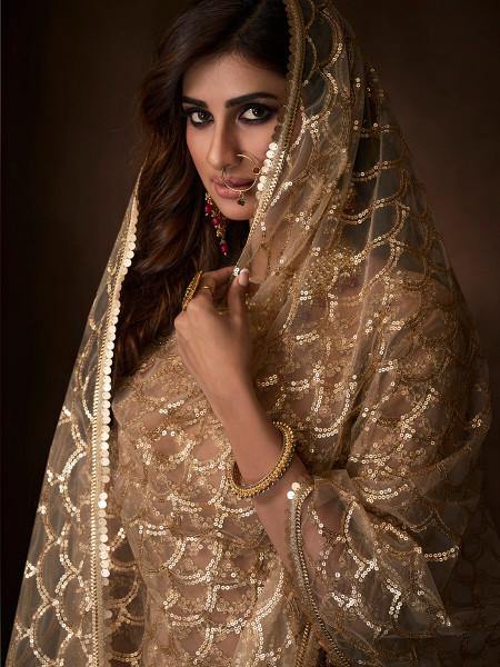 Myra Beige Soft Net Gharara Suit