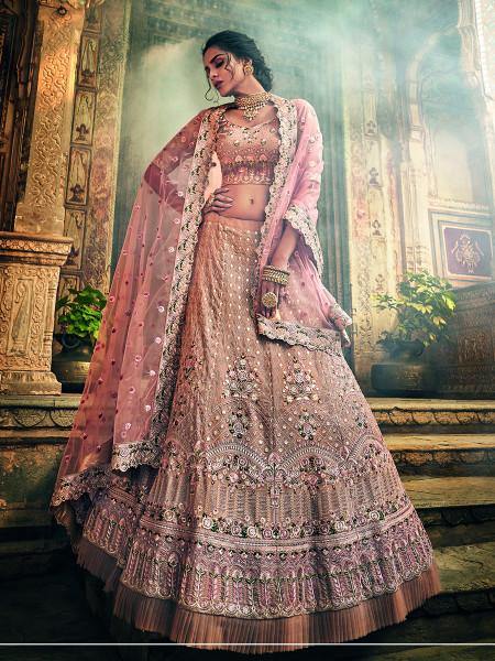 Myra Rose Taupe Georgette Embroidered lehenga