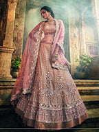 Myra Rose Taupe Georgette Embroidered lehenga