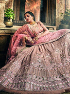 Myra Rose Taupe Georgette Embroidered lehenga