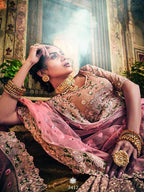 Myra Rose Taupe Georgette Embroidered lehenga