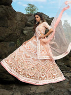 Myra Peach Embroidered Net Lehenga Choli