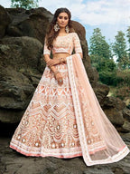 Myra Peach Embroidered Net Lehenga Choli