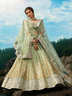 Myra Pastel Green Art Silk Lehenga