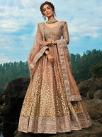 Myra Light Brown Art Silk Lehenga