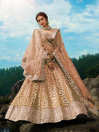 Myra Light Brown Art Silk Lehenga