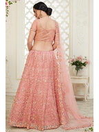 Dusty Pink Heavy Embroidered Net Lehenga