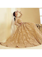 Myra Beautiful Golden Heavy Embroidered Net Bridal 