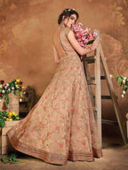 Myra Brown Butterfly Net Embroidered Anarkali 