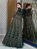Myra Peacock Blue Net Embroidery Gown