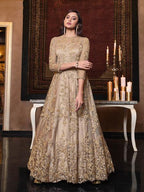 Myra Beige Net Embroidery Beautiful Gown