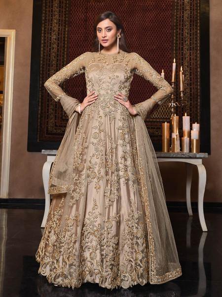 Beige Net Embroidery Beautiful 