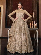 Beige Net Embroidery Beautiful 