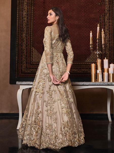 Beige Net Embroidery Beautiful Gown