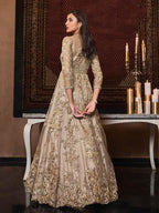Beige Net Embroidery Beautiful Gown