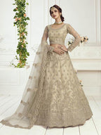 Heavy Embroidered Net Bridal Lehenga