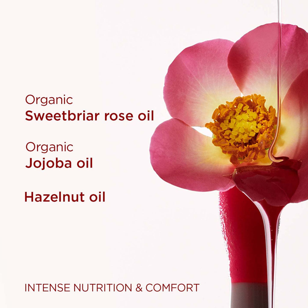 Clarins Lip Comfort Oil - 10 Plum - Distacart