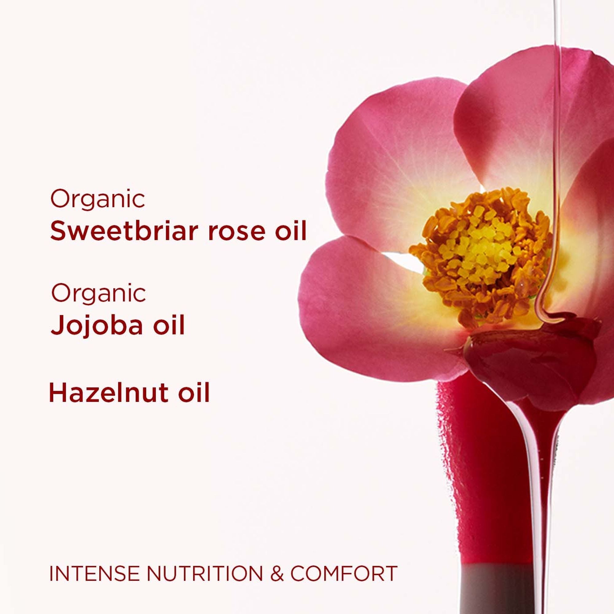 Clarins Lip Comfort Oil - 10 Plum - Distacart