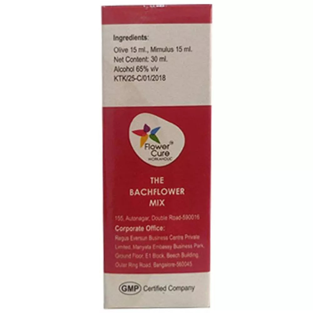 Bach Flower Mix Workaholic - Distacart