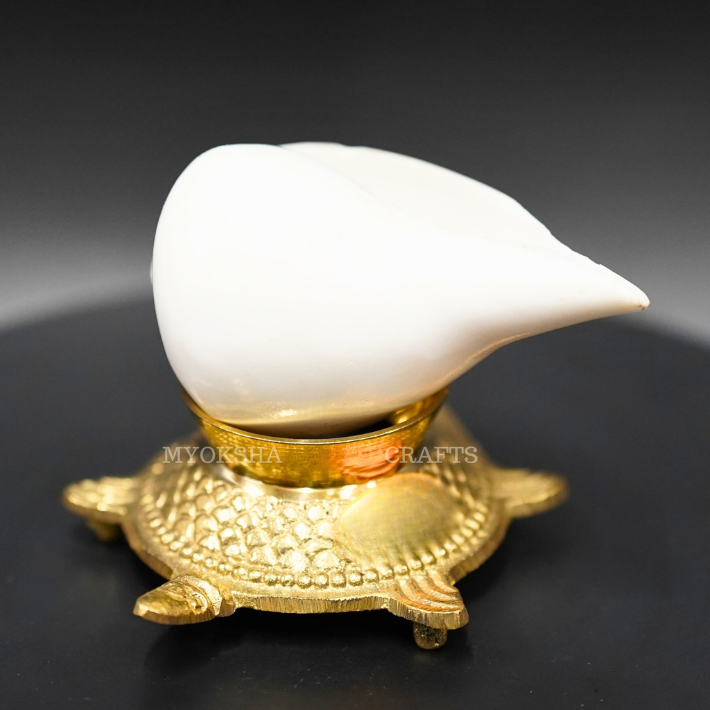 Shank with Brass Stand: Harmonize Your Pooja Rituals