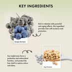 Naturica Moisturizing Defense Mask for Normal to Dry Hair, Hydrate with Grape Extract & Soy Protein - Distacart