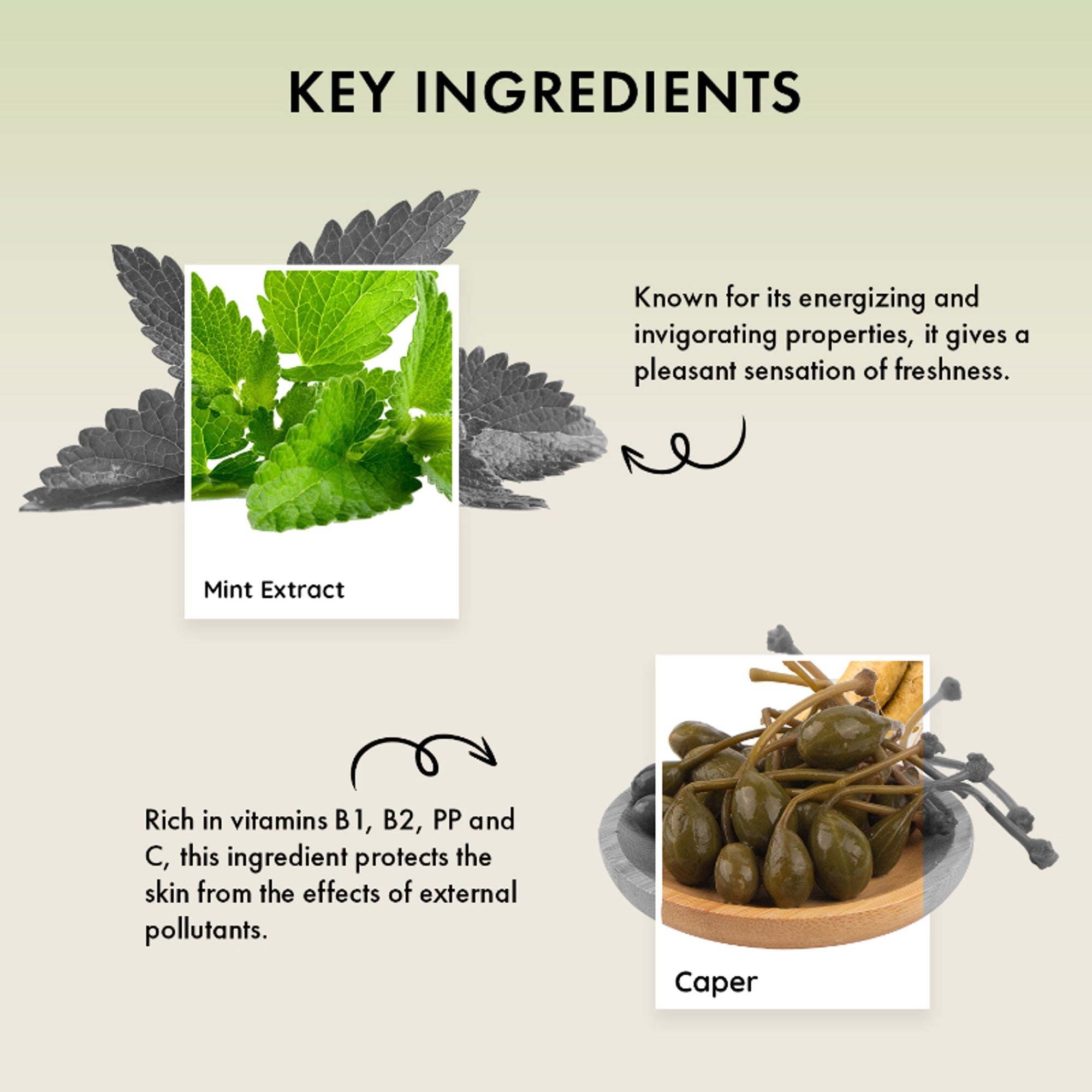 Naturica Energizing Miracle Treatment for Thin Hair, Reduce Fiber Loss with Caper & Ginseng Extract - Distacart