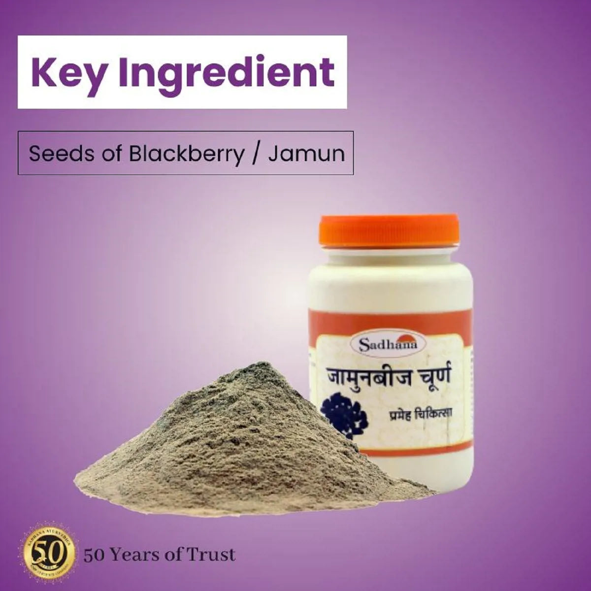 Sadhana Jamunbeej Powder - Distacart