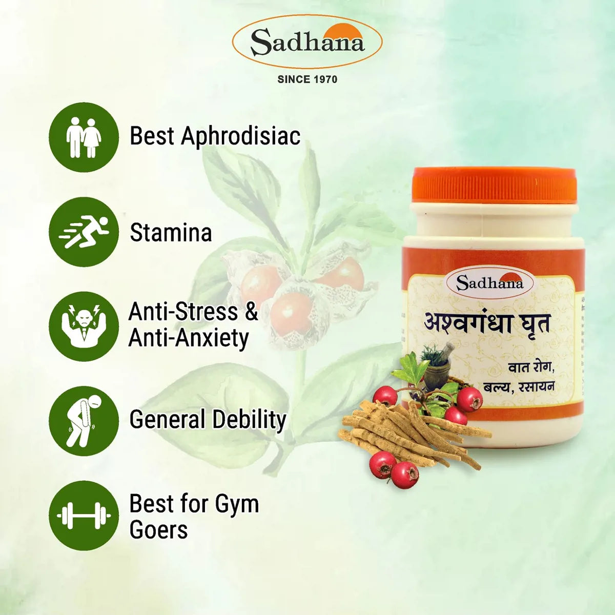 Sadhana Ashwagandha Ghrita
