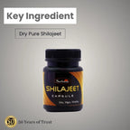 Sadhana Shilajeet Capsules