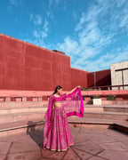 Lehenga Mart Glamorous Designer Lehenga Choli for Bridal and Bridesmaids Wedding Wear Choli