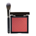 PAC Studio Spotlight Blush - Public Attention & Brush Set