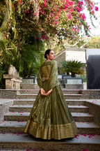 Lorenvalley Mehendi Pure Chanderi Plain With Zari Weaving Work Border Lehenga Choli