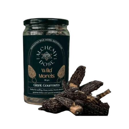 Alchemy Dose Sun-Dried Morel Mushrooms
