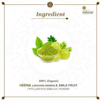 Khadi Natural Organic Henna & Amla Fruit Powder