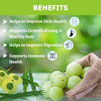 Herbal Hills Organic Amla Powder - Distacart