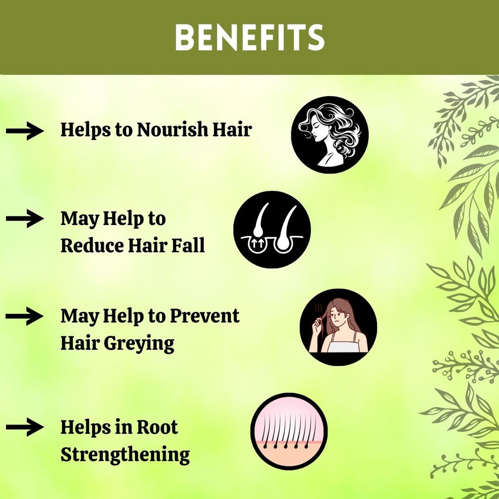 Herbal Hills Ayurveda Bhringraj Powder