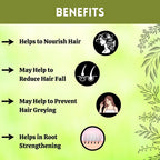 Herbal Hills Ayurveda Bhringraj Powder
