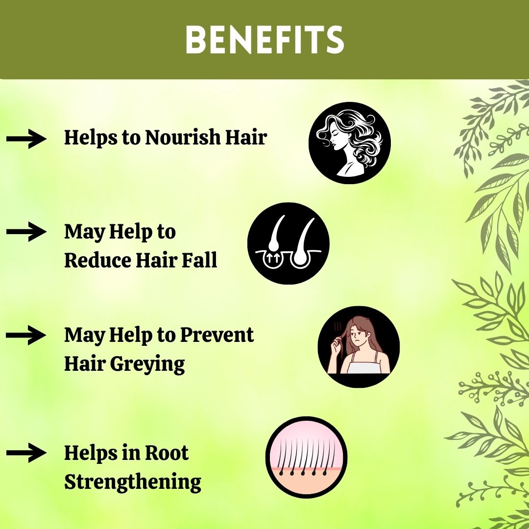 Herbal Hills Ayurveda Bhringraj Powder