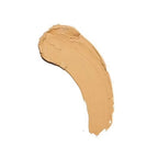 Revolution Fast Base Stick Foundation - F5
