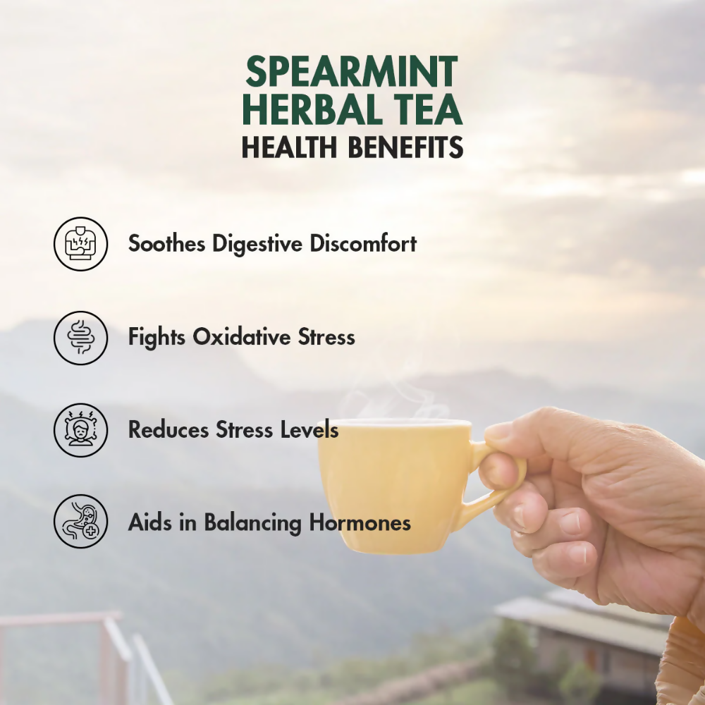 Tea Treasure Pure Spearmint Tea - Distacart