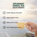 Tea Treasure Pure Spearmint Tea - Distacart