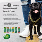 Happi Doggy Dental Chew Zest - Orange