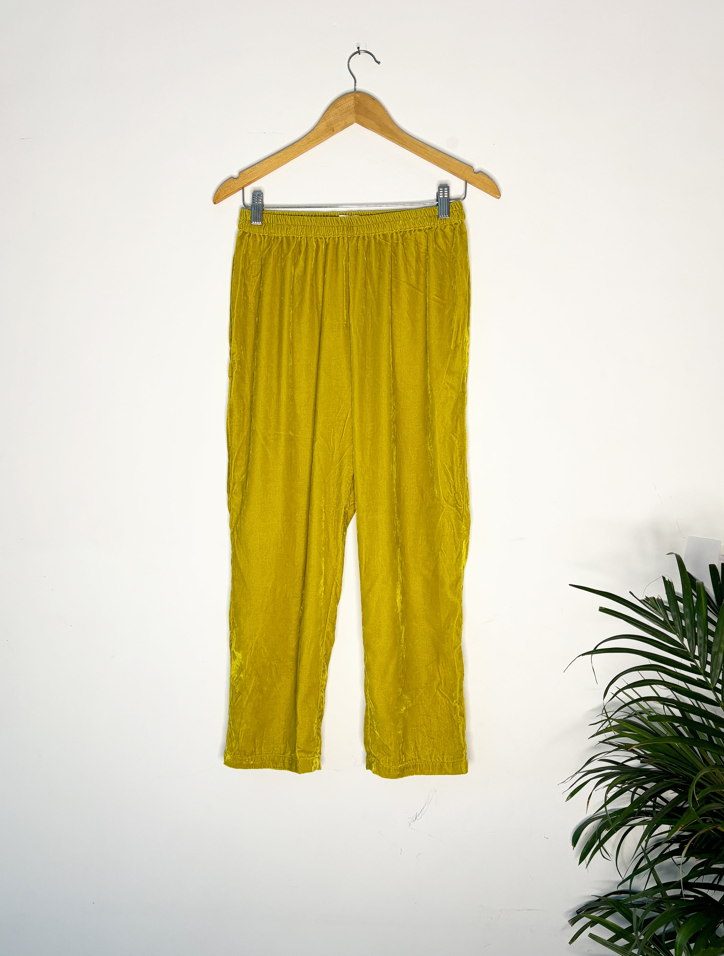 trueBrowns Lime Velvet Narrow Pant