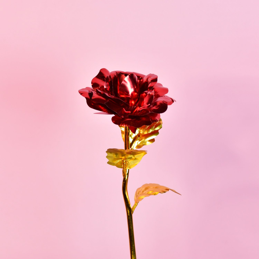 Sowpeace Scarlet Love - Distacart