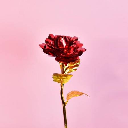 Sowpeace Scarlet Love