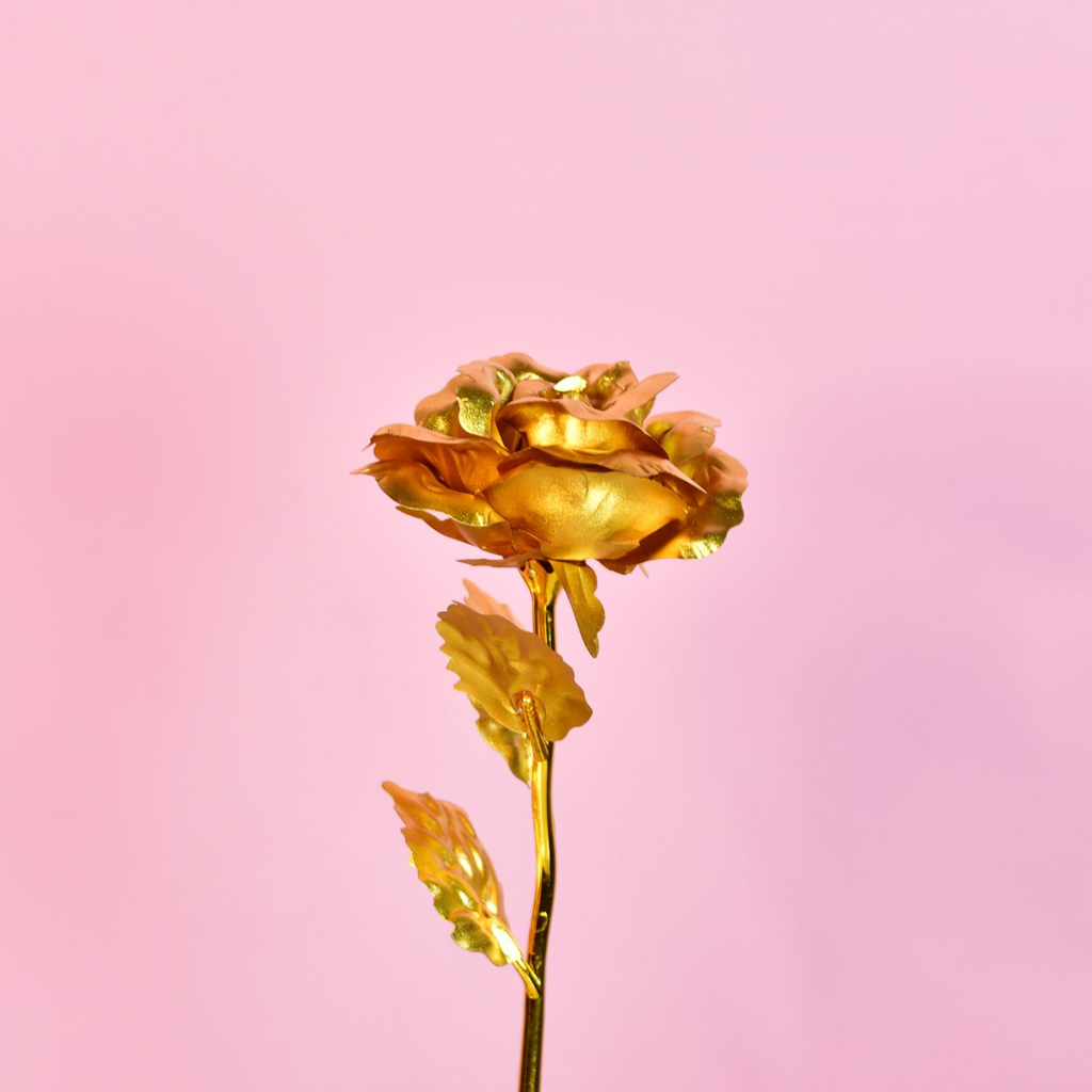 Sowpeace Golden Love - Distacart