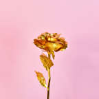 Sowpeace Golden Love - Distacart
