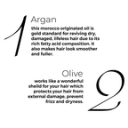 Brillare Argan Hair Oil with the Goodness of Olive oil & Sunflower Oil