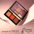Swiss Beauty Ultimate 9 Pigmented Colors Eyeshadow Palette - 6 - Distacart