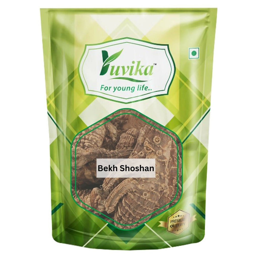 Yuvika Bekh Shoshan - Begshoshan
